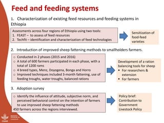 CRP Livestock and IFAD SmaRT Project: Small Ruminant meat value chain Transformation in Ethiopia