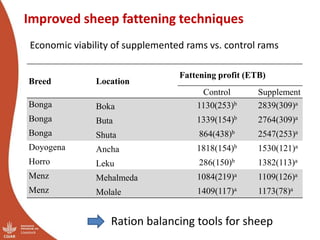 CRP Livestock and IFAD SmaRT Project: Small Ruminant meat value chain Transformation in Ethiopia