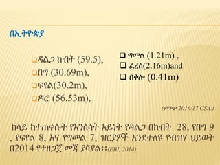 Breed improvement strategy for small ruminants