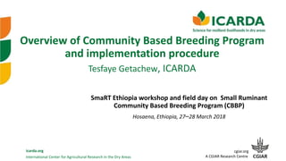 International Center for Agricultural Research in the Dry Areas
icarda.org cgiar.org
A CGIAR Research Centre
Overview of Community Based Breeding Program
and implementation procedure
Tesfaye Getachew, ICARDA
SmaRT Ethiopia workshop and field day on Small Ruminant
Community Based Breeding Program (CBBP)
Hosaena, Ethiopia, 27–28 March 2018
 