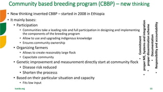 icarda.org 13
• New thinking invented CBBP – started in 2008 in Ethiopia
• It mainly bases:
• Participation
• Communities take a leading role and full participation in designing and implementing
the components of the breeding program
• Allow to use and upgrading indigenous knowledge
• Ensures community ownership
• Organizing farmers
• Allows to create reasonably large flock
• Capacitate community
• Genetic improvement and measurement directly start at community flock
• Disease risk reduced
• Shorten the processs
• Based on their particular situation and capacity
• Fits low input
•Commitment
•properME,Systemsandintegration
•properdisseminationscheme
•Documentation
•Responsibilityandaccountability
Community based breeding program (CBBP) – new thinking
 