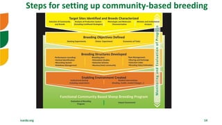 icarda.org 14
Steps for setting up community-based breeding
 