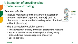 icarda.org 30
Genomic selection
• Involves making use of the estimated association
between many SNP’s (genetic marker) and the
phenotype to estimate the breeding value of animals
without phenotype
• This is particularly useful in case of:
• Phenotypes that are very difficult or expensive to measure
• You want to estimate the breeding value of very young
animals, before they can produce a phenotype
• Sex limited traits
4. Estimation of breeding value
5. Selection and mating
 