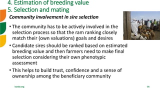 icarda.org 35
Community involvement in sire selection
• The community has to be actively involved in the
selection process so that the ram ranking closely
match their (own valuations) goals and desires
• Candidate sires should be ranked based on estimated
breeding value and then farmers need to make final
selection considering their own phenotypic
assessment
• This helps to build trust, confidence and a sense of
ownership among the beneficiary community
4. Estimation of breeding value
5. Selection and mating
 
