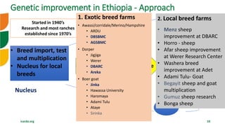 Overview of Community Based Breeding Program and implementation procedure
