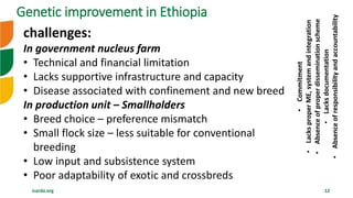 Overview of Community Based Breeding Program and implementation procedure