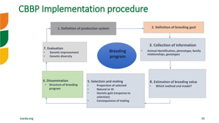 Overview of Community Based Breeding Program and implementation procedure