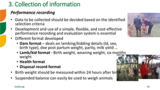 Overview of Community Based Breeding Program and implementation procedure