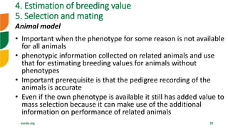 Overview of Community Based Breeding Program and implementation procedure