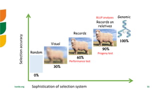 Overview of Community Based Breeding Program and implementation procedure