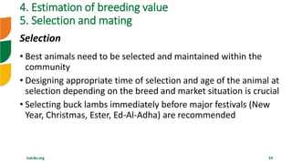 Overview of Community Based Breeding Program and implementation procedure