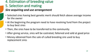 Overview of Community Based Breeding Program and implementation procedure