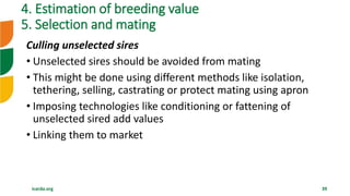 Overview of Community Based Breeding Program and implementation procedure