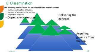 Overview of Community Based Breeding Program and implementation procedure