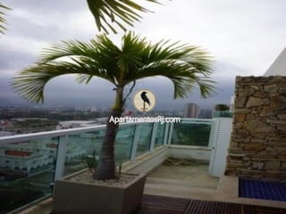 Cobertura Sunprime, Barra da Tijuca (21) 9.8791-3010