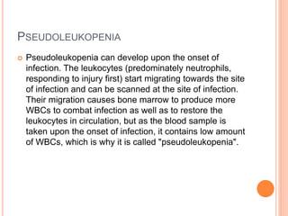 PSEUDOLEUKOPENIA
 Pseudoleukopenia can develop upon the onset of
infection. The leukocytes (predominately neutrophils,
responding to injury first) start migrating towards the site
of infection and can be scanned at the site of infection.
Their migration causes bone marrow to produce more
WBCs to combat infection as well as to restore the
leukocytes in circulation, but as the blood sample is
taken upon the onset of infection, it contains low amount
of WBCs, which is why it is called "pseudoleukopenia".
 