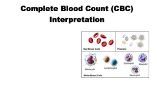 Complete Blood Count (CBC)
Interpretation
 
