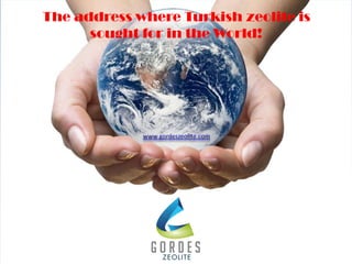 The address where Turkish zeolite is
sought for in the World!
 