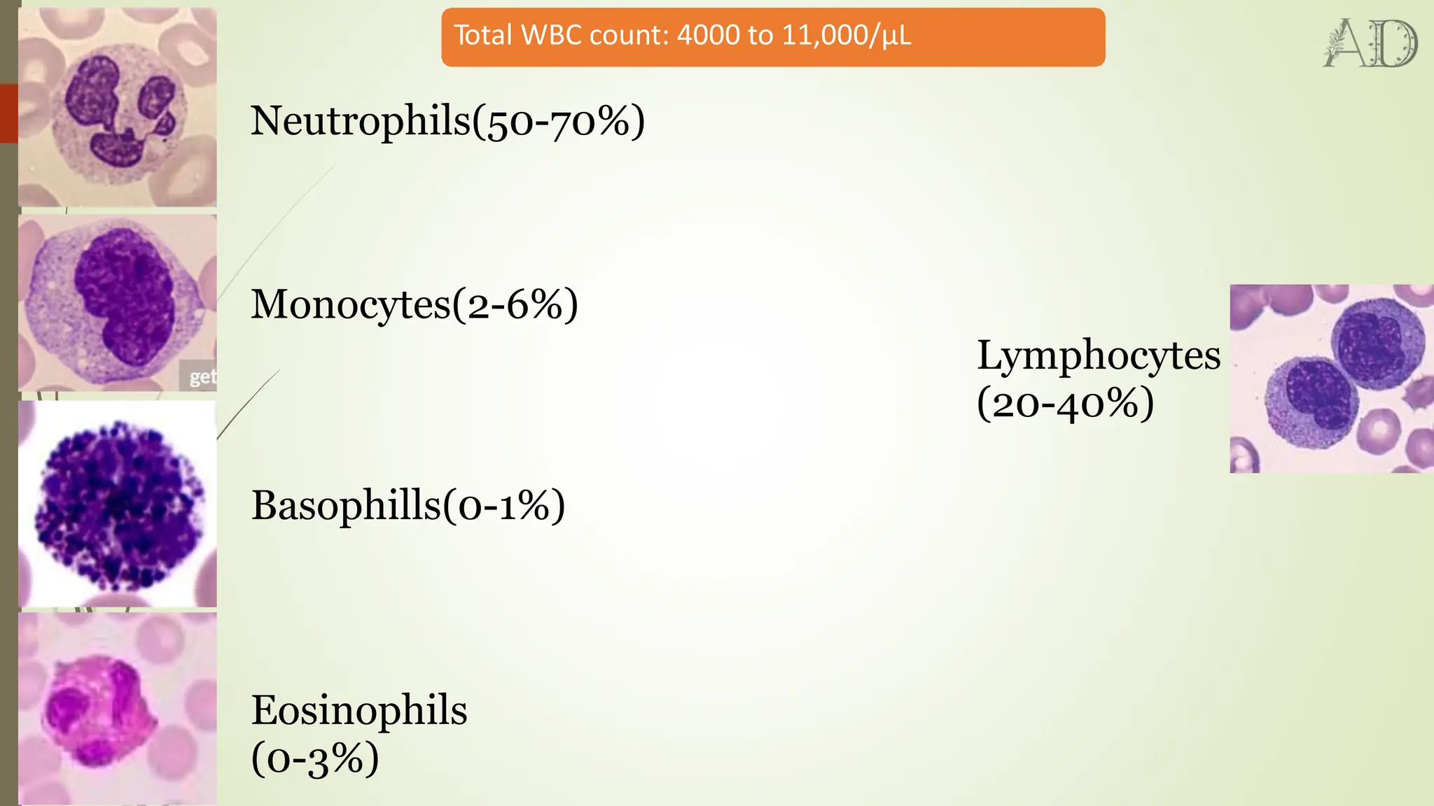 complete blood count analysis and blood disease investigation | PDF