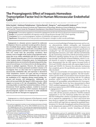 The Proangiogenic Effect of Iroquois Homeobox
Transcription Factor Irx3 in Human Microvascular Endothelial
Cells*□S
Received for publication,July 30, 2014, and in revised form, December 14, 2014 Published, JBC Papers in Press,December 15, 2014, DOI 10.1074/jbc.M114.601146
Kisha Scarlett‡
, Vaishnavi Pattabiraman‡
, Petrina Barnett§
, Dong Liu‡¶
, and Leonard M. Anderson‡¶1
From the ‡
Cardiovascular Research Institute and ¶
Department of Physiology, Morehouse School of Medicine, Atlanta, Georgia
30310 and the §
Cancer Center for Therapeutic Development, Clark Atlanta University, Atlanta, Georgia 30314
Background: Transcription regulation is essential for angiogenesis, but the role of Irx3 in this process remains to be defined.
Results: Irx3 promotes endothelial cell migration and tip cell specification through VEGF-Notch signaling.
Conclusion: Irx3 is a novel proangiogenic mediator of endothelial cell migration and cell fate.
Significance: Manipulation of Irx3 may provide novel therapeutic strategies in adult vascular pathologies.
Angiogenesis is a dynamic process required for embryonic
development. However, postnatal vascular growth is character-
istic of multiple disease states. Despite insights into the multi-
step process in which adhesion molecules, extracellular matrix
proteins, growth factors, and their receptors work in concert to
form new vessels from the preexisting vasculature, there
remains a lack of insight of the nuclear transcriptional mecha-
nisms that occur within endothelial cells (ECs) in response to
VEGF. Iroquois homeobox gene 3 (Irx3) is a transcription factor
of the Iroquois family of homeobox genes. Irx homeodomain
transcription factors are involved in the patterning and develop-
ment of several tissues. Irx3 is known for its role during embryo-
genesis in multiple organisms. However, the expression and
function of Irx3 in human postnatal vasculature remains to be
investigated. Here we show that Irx3 is expressed in human
microvascular endothelial cells, and expression is elevated by
VEGF stimulation. Genetic Irx3 gain and loss of function
studies in human microvascular endothelial cells resulted in
the modulation of EC migration during wound healing, che-
motaxis and invasion, and tubulogenesis. Additionally, we
observed increased delta-like ligand 4 (Dll4) expression, which
suggests an increase in EC tip cell population. Finally, siRNA
screening studies revealed that transient knockdown of Hey1, a
downstream Notch signaling mediator, resulted in increased
Irx3 expression in response to VEGF treatment. Strategies to
pharmacologically regulate Irx3 function in adult endothelial
cells may provide new therapies for angiogenesis.
Angiogenesis is a critical component of development, wound
healing, and menstruation (1). However, aberrant angiogenesis
occurs in several pathological biological processes such as can-
cer, atherosclerosis, diabetic retinopathy, and rheumatoid
arthritis (2). Angiogenic sprouting is initiated in response to an
extracellular VEGF ligand gradient, resulting in specification of
a leading EC2
“tip” cell, characterized morphologically by mul-
tiple filopodial extensions, and “stalk” cells that trail behind the
tip cell, maintaining connectivity with the preexisting vessel (3).
Dll4/Notch signaling regulates the tip versus stalk cell pheno-
type through a mechanism of lateral inhibition, which is a crit-
ical element of control in angiogenesis (4). Previous reports
have demonstrated that tip cells express increased levels of
DLL4 and VEGFR2, whereas stalk cells express higher levels of
Notch and VEGFR1 (5). However the molecular mechanisms
that completely govern the specification process remain to be
fully elucidated.
There are several families of transcription factors that have
been implicated in angiogenesis regulation. The E26 transfor-
mation-specific family of transcription factors has been shown
to regulate angiogenesis by interacting with the VE-cadherin
promoter, which is required for the maintenance of the EC
monolayer, EC permeability, and proliferation (6). Overexpres-
sion of Krüppel-like factors has been demonstrated to block
VEGF-mediated angiogenesis through VEGFR-2 (7). Hairy-re-
lated transcription factors (HEY/HESR) also play a critical role
in angiogenesis (8, 9).
Notch receptor regulation of Hey1 during to specific EC tip
versus stalk cell fate promotes productive VEGFR2-mediated
angiogenesis in vivo (10). Numerous studies have also shown
that the Forkhead Box subclass of forkhead transcription fac-
tors is required for angiogenesis (7). Foxo1 and Foxo3a have
been shown to regulate non-redundant but overlapping genes
such as eNOS and Ang2 that are required for postnatal vascu-
larization (11). Recently, through gain and loss of function stud-
ies, the ubiquitously expressed NF-E2-related factor (Nrf2) has
been shown to promote vascular branching and density
* Thisworkwassupported,inwholeorinpart,byNationalInstitutesofHealth
Grants K01 HL084760-01 (to L. M. A.), 5R25 HL003676 (to G. H. G.), and
5G12 MD007602 (to V. M. R.). This work was also supported by the National
Science Foundation from Georgia Tech/Emory Center for the Engineering
of Living Tissues Grant EEC-9731643 (to L. M. A.).
Author’s Choice—Final version full access.
□S
This article contains supplemental Table 1.
1
To whom correspondence should be addressed: Cardiovascular Research
Institute and Dept. of Physiology, Morehouse School of Medicine, 720
Westview Dr., S. W., Atlanta, GA 30310. Tel.: 404-756-8920; Fax: 404-752-
1042; E-mail: landerson@msm.edu.
2
The abbreviations used are: EC, endothelial cell; HMVEC, human dermal
microvascular endothelial cell; eGFP, enhanced GFP; m.o.i., multiplicity of
infection; IE, immediate-early; VE, vascular endothelium; HES, hairy
enhancer of split; HEY/HESR, hes-related transcription factor with YRPW
motif.
THE JOURNAL OF BIOLOGICAL CHEMISTRY VOL. 290, NO. 10, pp. 6303–6315, March 6, 2015
Author’s Choice © 2015 by The American Society for Biochemistry and Molecular Biology, Inc. Published in the U.S.A.
MARCH 6, 2015•VOLUME 290•NUMBER 10 JOURNAL OF BIOLOGICAL CHEMISTRY 6303
byguestonJune20,2015http://www.jbc.org/Downloadedfrom
 