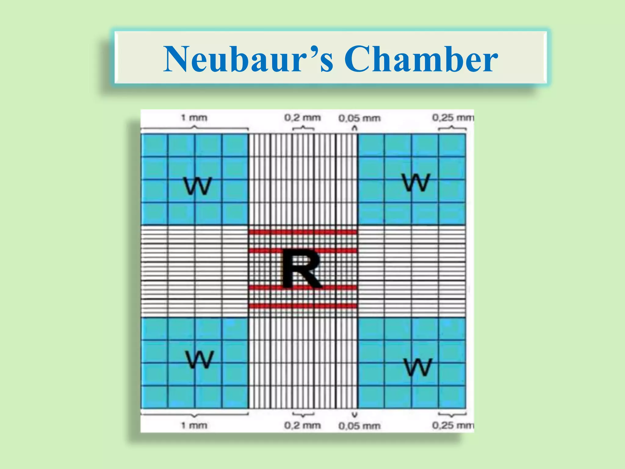 Neubaur’s Chamber
 