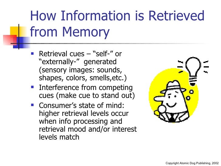 Memory, Learning & Perception