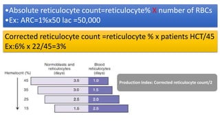 •Absolute reticulocyte count=reticulocyte% X number of RBCs
•Ex: ARC=1%x50 lac =50,000
Corrected reticulocyte count =reticulocyte % x patients HCT/45
Ex:6% x 22/45=3%
Production Index: Corrected reticulocyte count/2
 