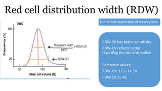 Red cell distribution width (RDW)
Numerical expression of anisocytosis
RDW-SD has better sensitivity
RDW-CV reflects better
regarding the size distribution
Reference values:
RDW-CV: 11.5–14.5%
RDW-SD:35-45
 