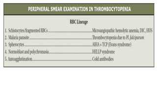 Complete Blood Count Interpretation