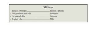 Complete Blood Count Interpretation