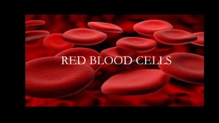 RED BLOOD CELLS
 