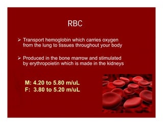 CBC Interpretation Lecture 2016.pdf