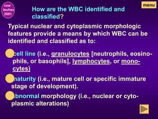How are the WBC identified and
classified?
csw
lsuhsc
2001
menu
Typical nuclear and cytoplasmic morphologic
features provide a means by which WBC can be
identified and classified as to:
• cell line (i.e., granulocytes [neutrophils, eosino-
phils, or basophils], lymphocytes, or mono-
cytes)
• maturity (i.e., mature cell or specific immature
stage of development).
• abnormal morphology (i.e., nuclear or cyto-
plasmic alterations)
 
