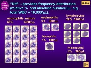 “Diff” - provides frequency distribution
(relative % and absolute number/mL, e.g.
total WBC = 10,000/mL):
csw
lsuhsc
2001
menu
neutrophils, mature
65% 6500/mL
lymphocytes
28% 2800/mL
monocytes
3% 300/mL
eosinophils
3% 300/mL
basophils
1% 100/mL
 