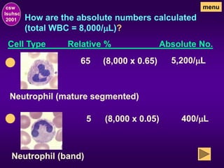 How are the absolute numbers calculated
(total WBC = 8,000/mL)?
csw
lsuhsc
2001
menu
Cell Type Relative % Absolute No.
(8,000 x 0.05)
65
Neutrophil (mature segmented)
(8,000 x 0.65) 5,200/mL
Neutrophil (band)
5 400/mL
 