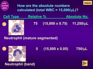 How are the absolute numbers
calculated (total WBC = 15,000/mL)?
csw
lsuhsc
2001
menu
Cell Type Relative % Absolute No.
(15,000 x 0.05)
75
Neutrophil (mature segmented)
(15,000 x 0.75) 11,250/mL
Neutrophil (band)
5 750/mL
 