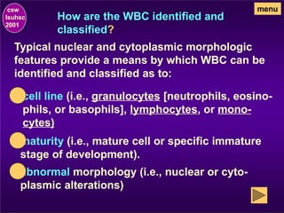 CBC Part 2 - WBC Differential & Morphology (2).pptx