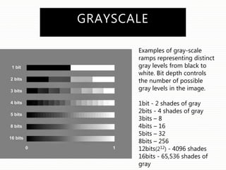 GRAYSCALE
Examples of gray-scale
ramps representing distinct
gray levels from black to
white. Bit depth controls
the number of possible
gray levels in the image.
1bit - 2 shades of gray
2bits - 4 shades of gray
3bits – 8
4bits – 16
5bits – 32
8bits – 256
12bits(212) - 4096 shades
16bits - 65,536 shades of
gray
 