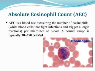 Comprehensive Guide to Complete Blood Count (CBC) Tests and ...