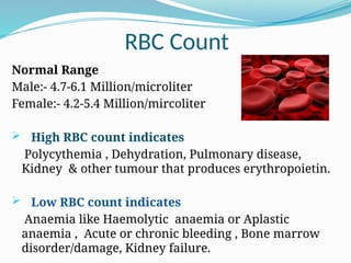 Comprehensive Guide to Complete Blood Count (CBC) Tests and ...