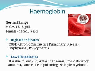 Comprehensive Guide to Complete Blood Count (CBC) Tests and ...