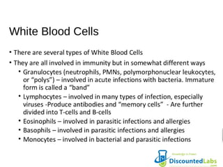 Discounted Labs CBC Panel Interpretation | PPT