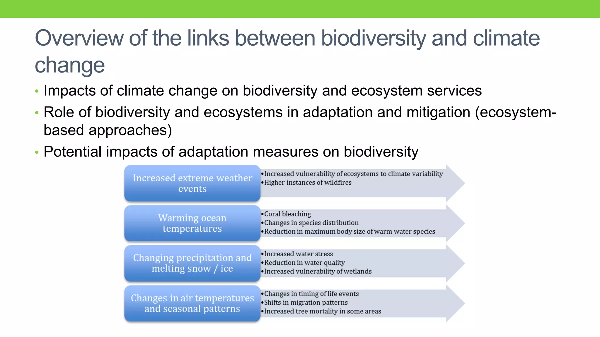 Synergies between climate change adaptation and biodiversity | PDF