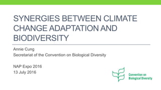 SYNERGIES BETWEEN CLIMATE
CHANGE ADAPTATION AND
BIODIVERSITY
Annie Cung
Secretariat of the Convention on Biological Diversity
NAP Expo 2016
13 July 2016
 