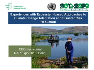 Experiences with Ecosystem-based Approaches to
Climate Change Adaptation and Disaster Risk
Reduction
CBD Secretariat
NAP Expo 2016, Bonn
© V. Lo
 