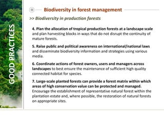 Biodiversity in forest management
GOOD
PRACTICES
4. Plan the allocation of tropical production forests at a landscape scale
and plan harvesting blocks in ways that do not disrupt the continuity of
mature forests.
5. Raise public and political awareness on international/national laws
and disseminate biodiversity information and strategies using various
media.
6. Coordinate actions of forest owners, users and managers across
landscapes to best ensure the maintenance of sufficient high quality
connected habitat for species.
7. Large-scale planted forests can provide a forest matrix within which
areas of high conservation value can be protected and managed.
Encourage the establishment of representative natural forest within the
plantation estate and, where possible, the restoration of natural forests
on appropriate sites.
>> Biodiversity in production forests
 
