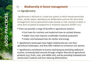 Agroforestry is defined as: a land-use system in which woody perennials
(trees, shrubs, palms, bamboos) are deliberately used on the same land
management unit as agricultural crops (woody or not), animals or both, in
some form of spatial arrangement or temporal sequence (ICRAF n.d.).
 Trees can provide a range of benefits in agricultural systems:
 fruit trees for nutrition and medicinal trees to combat disease.
 fodder trees that improve smallholder livestock production
 timber and fuelwood trees for shelter and energy
 Agroforestry landscapes have higher biodiversity per unit than
agricultural landscapes, and they offer habitats to numerous rare species
 Agroforestry contributes to human well-being by providing additional
income; increasing food security through a higher diversity of agricultural
products (e.g. fruits, nuts, and edible oils); and by providing fuelwood and
construction material and thus reducing deforestation.
>> Agroforestry
GOOD
PRACTICES Biodiversity in forest management
 