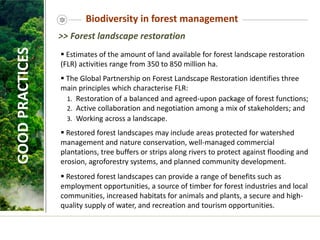  Estimates of the amount of land available for forest landscape restoration
(FLR) activities range from 350 to 850 million ha.
 The Global Partnership on Forest Landscape Restoration identifies three
main principles which characterise FLR:
1. Restoration of a balanced and agreed-upon package of forest functions;
2. Active collaboration and negotiation among a mix of stakeholders; and
3. Working across a landscape.
 Restored forest landscapes may include areas protected for watershed
management and nature conservation, well-managed commercial
plantations, tree buffers or strips along rivers to protect against flooding and
erosion, agroforestry systems, and planned community development.
 Restored forest landscapes can provide a range of benefits such as
employment opportunities, a source of timber for forest industries and local
communities, increased habitats for animals and plants, a secure and high-
quality supply of water, and recreation and tourism opportunities.
>> Forest landscape restoration
GOOD
PRACTICES Biodiversity in forest management
 