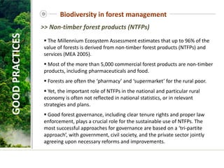  The Millennium Ecosystem Assessment estimates that up to 96% of the
value of forests is derived from non-timber forest products (NTFPs) and
services (MEA 2005).
 Most of the more than 5,000 commercial forest products are non-timber
products, including pharmaceuticals and food.
 Forests are often the ‘pharmacy’ and ‘supermarket’ for the rural poor.
 Yet, the important role of NTFPs in the national and particular rural
economy is often not reflected in national statistics, or in relevant
strategies and plans.
 Good forest governance, including clear tenure rights and proper law
enforcement, plays a crucial role for the sustainable use of NTFPs. The
most successful approaches for governance are based on a ‘tri-partite
approach’, with government, civil society, and the private sector jointly
agreeing upon necessary reforms and improvements.
GOOD
PRACTICES
>> Non-timber forest products (NTFPs)
Biodiversity in forest management
 