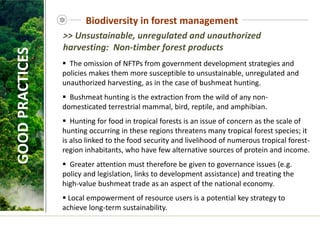  The omission of NFTPs from government development strategies and
policies makes them more susceptible to unsustainable, unregulated and
unauthorized harvesting, as in the case of bushmeat hunting.
 Bushmeat hunting is the extraction from the wild of any non-
domesticated terrestrial mammal, bird, reptile, and amphibian.
 Hunting for food in tropical forests is an issue of concern as the scale of
hunting occurring in these regions threatens many tropical forest species; it
is also linked to the food security and livelihood of numerous tropical forest-
region inhabitants, who have few alternative sources of protein and income.
 Greater attention must therefore be given to governance issues (e.g.
policy and legislation, links to development assistance) and treating the
high-value bushmeat trade as an aspect of the national economy.
 Local empowerment of resource users is a potential key strategy to
achieve long-term sustainability.
GOOD
PRACTICES
>> Unsustainable, unregulated and unauthorized
harvesting: Non-timber forest products
Biodiversity in forest management
 